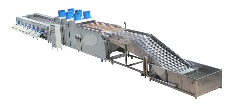 images/1717576080588eggplant cleaning sorting machine.jpg